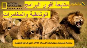 تردد قناة ناشيونال جيوغرافيك نايل سات 2025.. أقوى البرامج الوثائقية